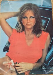 1977, Vintage, Original, Cheryl Tiegs Poster - 20' X 28'