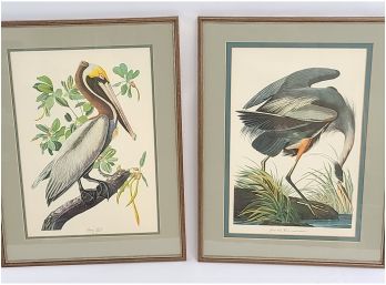 Two Gallery Framed Bird Litho's