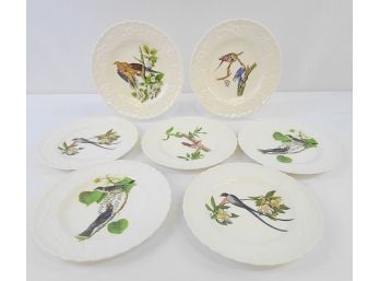 Lot Of 7 Audubon, Alfred Meakin, England Bird Plates