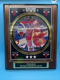 Chicago Bulls 1991-92-93 World Champion Plaque Three Peat Paxson #1669