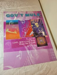 Govt Mule Original Band Poster