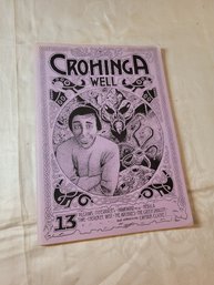 Crohinga Well No 13 1997