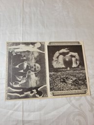 The Byrds At Taj Mahal 1968 Original Postcard