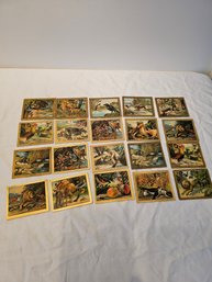 Turkish Trophies Fable Card Lot