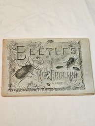 Beetles Of New England Guide Book