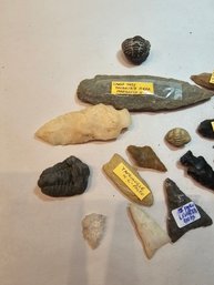 Arrowheads And Fossils Lot