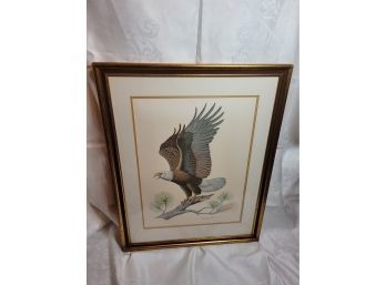 Bald Eagle Print By Albert Earl Gilbert