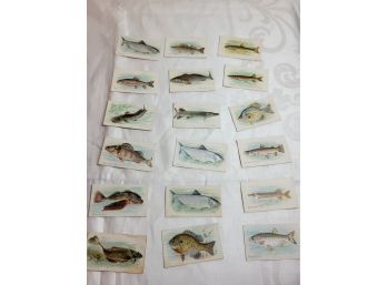 Tobacco Cards Fish Lot 2