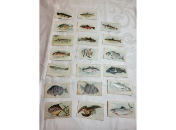 Sweet Caporal Tobacco Cards Fish Lot 3