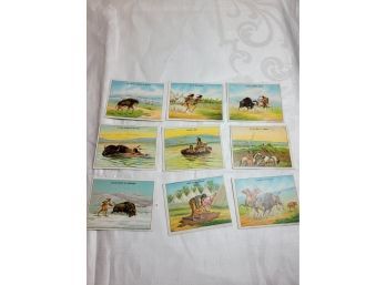 Tobacco Cards Indian Life In The 60s Lot 1