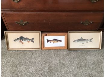 Three Piece Fish Art