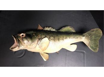 Large Mouth Bass Taxidermy