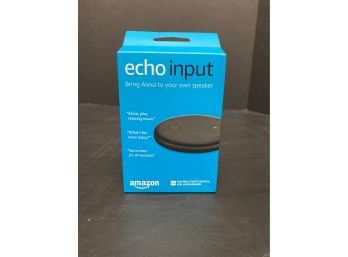 Amazon Echo Input