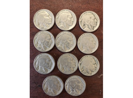 Buffalo Head Nickels