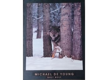 Grey Wolf By Michael De Young In Metal Frame
