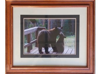 Framed Original Photograh Of A Black Bear In Estes Park, Colorado