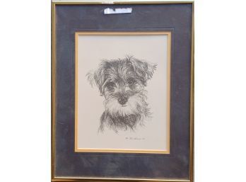 Schnauzer Pup Portrait Dog Art Print Pen And Ink Grawing By Jan Jellins