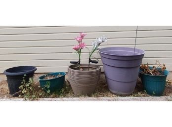 Fun Planting Pots In Various Sizes