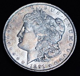1891 Morgan Silver Dollar AU Uncirc FULL Chest Feathering SUPER! (3zzs2)