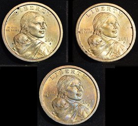 3    2001-P   Sacagawea Dollars  UNCIRC   (MLeek25)