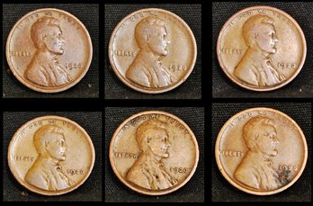 6  EARLY Lincoln Cents  1920  (fer27)