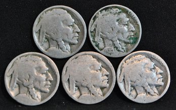 5 Buffalo Nickels  (1) 1930 (4) No Date  (dac74)