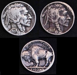 2 Buffalo Nickels 1937-D  1937  F / VF (2cu8)