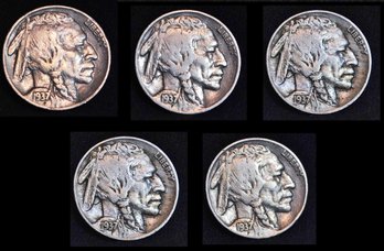 5 Buffalo Nickels  1937  (gt3)