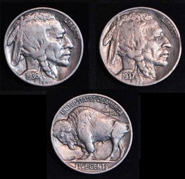 2 Buffalo Nickels  1936  1937  (tp4)