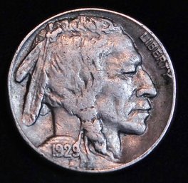 1929-S Buffalo NIckel  XF Super Coin!! Good Date! FULL SHARP HORN! (25ptu4)