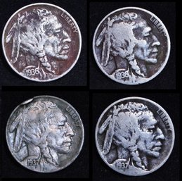 4 Buffalo Nickels (2)  1936  (2) 1937-D   (5byg8)