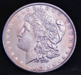 1889  Morgan Silver Dollar  Beautiful FULL BOLD CHEST FEATHERS  (mta22)