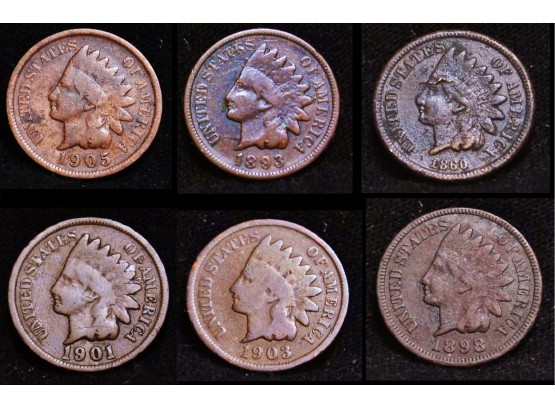 Lot Of 6 Indian Head Cents Pennies Various Dates & Condition (dba2)