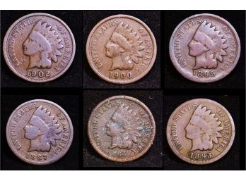 Lot Of 6 Indian Head Cents Pennies Various Dates & Condition (wro2)