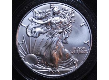 2020 American Silver Eagle US Dollar .999  1 Oz Pure Silver BU Coin In Airtight Capsule (LLgup3)
