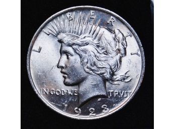 1923 Peace Dollar In Plastic Holder Case 90 Percent Silver BU Uncirculated Lustrous (LLapl7)