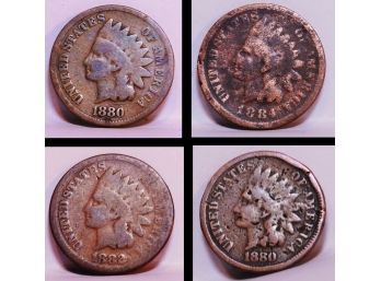 Lot Of  4 Indian Head Cents / Pennies 1880 1880 1882  1884  Circulated  (ctd9)