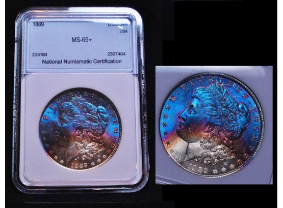 1889 Morgan Silver Dollar 90 Percent Silver NNC Graded  MS 65 Plus! RAINBOW TONING!  (2elg3)
