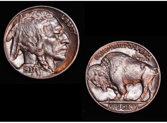 1937 Buffalo Nickel Nearly Uncirculated / AU BOLD FULL HORN (6gry5)