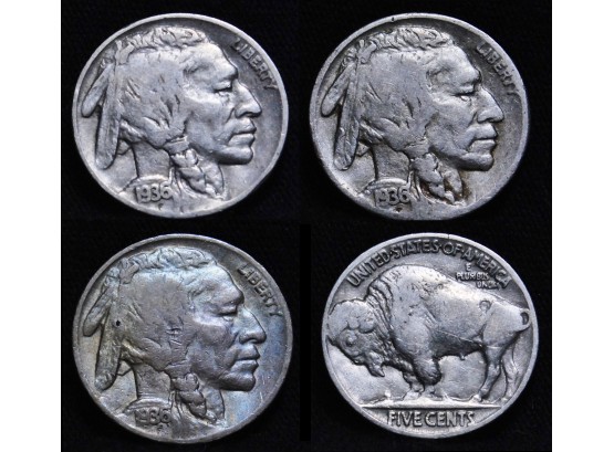 Lot Of 3 1936  P/S/D Minted  Buffalo Nickels NICE  (adsb5)