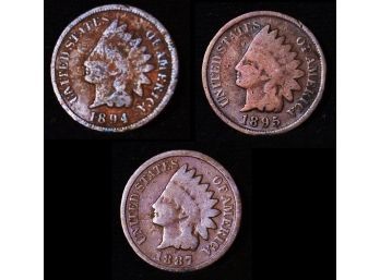Lot Of 3 Indian Head Cents Pennies 1887  1894  1895   (pan24)