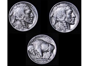 Lot Of 2 Buffalo Nickels 1934   1936-D  Nice Coins VF Plus / XF  (bac93)