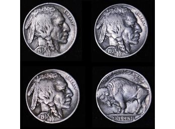 Lot Of 3 Buffalo Nickels 1937  P-s-d Nice Coins  (geg23)