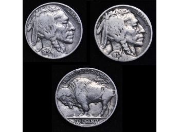 Lot Of 2 Buffalo Nickels 1936  1937-D  (bgu6)