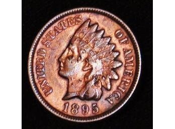 1895  Indian Head Cent Penny XF Plus But Some Marks   (dsd98)