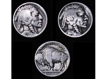 Lot Of 2 Buffalo Nickels 1920  Nice FINE  Semi-Key Date  (sam79)