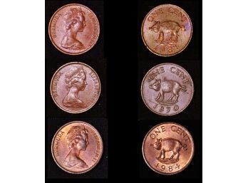 Lot Of 3 Bermuda 1970  1981   1984  One Cent Coins PIG Uncirculated / AU  Eliz II (rud53)