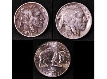 Lot Of 3 Buffalo Nickels 1934  1937  2005-D Bison NICE  (dcx87)
