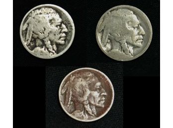Lot Of 3 1913 Type 1 Buffalo Nickel Nickels 5C  (vs)