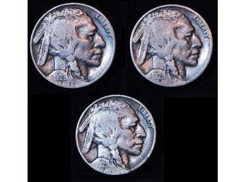 Lot Of 3 Buffalo Nickels  1929   VF  (4cmc9)